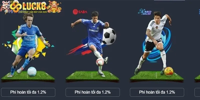 Tổng quan sơ lược về sảnh thể thao tại Luck8